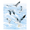 Seagull soiree 1