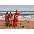 Three Women, a Puppy and a Crow Wall Art