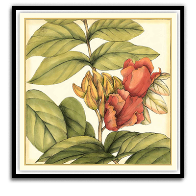 Shop Art \ Shop Artwork \ Shop Tropical Art \ Shop Wall Art \ Shop Tropical Art Prints \ Shop Framed Artwork \ Shop Painting \ Shop Tropical Paintings \ Shop Wall Decor \ Shop Decorative Art \ Nature Art Prints \ Multicolor Wall Art \ Colorful Artwork \ Floral Art