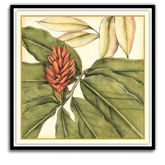 Shop Art \ Shop Artwork \ Shop Tropical Art \ Shop Wall Art \ Shop Tropical Art Prints \ Shop Framed Artwork \ Shop Painting \ Shop Tropical Paintings \ Shop Wall Decor \ Shop Decorative Art \ Nature Art Prints \ Multicolor Wall Art \ Colorful Artwork \ Floral Art