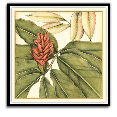 Shop Art \ Shop Artwork \ Shop Tropical Art \ Shop Wall Art \ Shop Tropical Art Prints \ Shop Framed Artwork \ Shop Painting \ Shop Tropical Paintings \ Shop Wall Decor \ Shop Decorative Art \ Nature Art Prints \ Multicolor Wall Art \ Colorful Artwork \ Floral Art