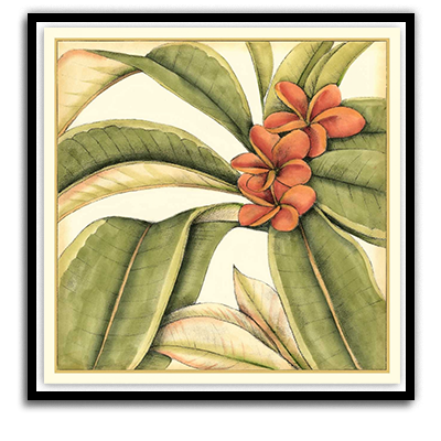 Shop Art \ Shop Artwork \ Shop Tropical Art \ Shop Wall Art \ Shop Tropical Art Prints \ Shop Framed Artwork \ Shop Painting \ Shop Tropical Paintings \ Shop Wall Decor \ Shop Decorative Art \ Nature Art Prints \ Multicolor Wall Art \ Colorful Artwork \ Floral Art