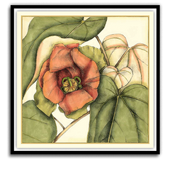 Shop Art \ Shop Artwork \ Shop Tropical Art \ Shop Wall Art \ Shop Tropical Art Prints \ Shop Framed Artwork \ Shop Painting \ Shop Tropical Paintings \ Shop Wall Decor \ Shop Decorative Art \ Nature Art Prints \ Multicolor Wall Art \ Colorful Artwork \ Floral Art