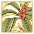 Tropical Blooms and Foliage I