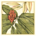 Tropical Blooms and Foliage II