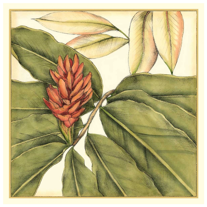 Shop Art \ Shop Artwork \ Shop Tropical Art \ Shop Wall Art \ Shop Tropical Art Prints \ Shop Framed Artwork \ Shop Painting \ Shop Tropical Paintings \ Shop Wall Decor \ Shop Decorative Art \ Nature Art Prints \ Multicolor Wall Art \ Colorful Artwork \ Floral Art