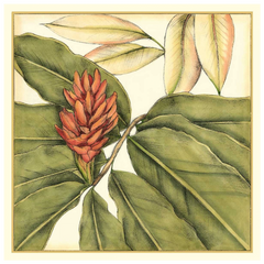 Shop Art \ Shop Artwork \ Shop Tropical Art \ Shop Wall Art \ Shop Tropical Art Prints \ Shop Framed Artwork \ Shop Painting \ Shop Tropical Paintings \ Shop Wall Decor \ Shop Decorative Art \ Nature Art Prints \ Multicolor Wall Art \ Colorful Artwork \ Floral Art