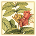Tropical Blooms and Foliage III