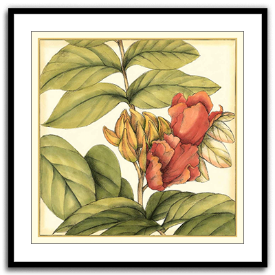 Shop Art \ Shop Artwork \ Shop Tropical Art \ Shop Wall Art \ Shop Tropical Art Prints \ Shop Framed Artwork \ Shop Painting \ Shop Tropical Paintings \ Shop Wall Decor \ Shop Decorative Art \ Nature Art Prints \ Multicolor Wall Art \ Colorful Artwork \ Floral Art