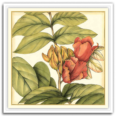 Shop Art \ Shop Artwork \ Shop Tropical Art \ Shop Wall Art \ Shop Tropical Art Prints \ Shop Framed Artwork \ Shop Painting \ Shop Tropical Paintings \ Shop Wall Decor \ Shop Decorative Art \ Nature Art Prints \ Multicolor Wall Art \ Colorful Artwork \ Floral Art