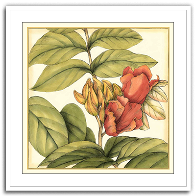 Shop Art \ Shop Artwork \ Shop Tropical Art \ Shop Wall Art \ Shop Tropical Art Prints \ Shop Framed Artwork \ Shop Painting \ Shop Tropical Paintings \ Shop Wall Decor \ Shop Decorative Art \ Nature Art Prints \ Multicolor Wall Art \ Colorful Artwork \ Floral Art