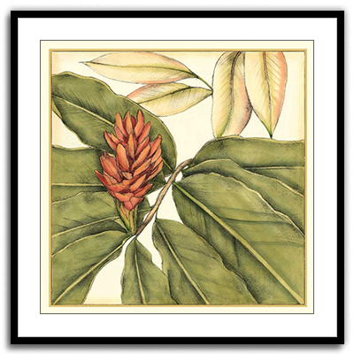 Shop Art \ Shop Artwork \ Shop Tropical Art \ Shop Wall Art \ Shop Tropical Art Prints \ Shop Framed Artwork \ Shop Painting \ Shop Tropical Paintings \ Shop Wall Decor \ Shop Decorative Art \ Nature Art Prints \ Multicolor Wall Art \ Colorful Artwork \ Floral Art