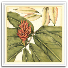 Shop Art \ Shop Artwork \ Shop Tropical Art \ Shop Wall Art \ Shop Tropical Art Prints \ Shop Framed Artwork \ Shop Painting \ Shop Tropical Paintings \ Shop Wall Decor \ Shop Decorative Art \ Nature Art Prints \ Multicolor Wall Art \ Colorful Artwork \ Floral Art