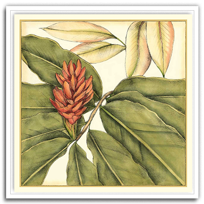 Shop Art \ Shop Artwork \ Shop Tropical Art \ Shop Wall Art \ Shop Tropical Art Prints \ Shop Framed Artwork \ Shop Painting \ Shop Tropical Paintings \ Shop Wall Decor \ Shop Decorative Art \ Nature Art Prints \ Multicolor Wall Art \ Colorful Artwork \ Floral Art