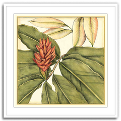 Shop Art \ Shop Artwork \ Shop Tropical Art \ Shop Wall Art \ Shop Tropical Art Prints \ Shop Framed Artwork \ Shop Painting \ Shop Tropical Paintings \ Shop Wall Decor \ Shop Decorative Art \ Nature Art Prints \ Multicolor Wall Art \ Colorful Artwork \ Floral Art