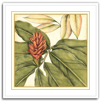 Shop Art \ Shop Artwork \ Shop Tropical Art \ Shop Wall Art \ Shop Tropical Art Prints \ Shop Framed Artwork \ Shop Painting \ Shop Tropical Paintings \ Shop Wall Decor \ Shop Decorative Art \ Nature Art Prints \ Multicolor Wall Art \ Colorful Artwork \ Floral Art