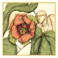 Tropical Blooms and Foliage IV