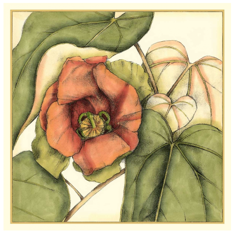 Shop Art \ Shop Artwork \ Shop Tropical Art \ Shop Wall Art \ Shop Tropical Art Prints \ Shop Framed Artwork \ Shop Painting \ Shop Tropical Paintings \ Shop Wall Decor \ Shop Decorative Art \ Nature Art Prints \ Multicolor Wall Art \ Colorful Artwork \ Floral Art