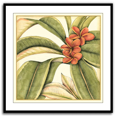 Shop Art \ Shop Artwork \ Shop Tropical Art \ Shop Wall Art \ Shop Tropical Art Prints \ Shop Framed Artwork \ Shop Painting \ Shop Tropical Paintings \ Shop Wall Decor \ Shop Decorative Art \ Nature Art Prints \ Multicolor Wall Art \ Colorful Artwork \ Floral Art