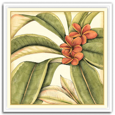 Shop Art \ Shop Artwork \ Shop Tropical Art \ Shop Wall Art \ Shop Tropical Art Prints \ Shop Framed Artwork \ Shop Painting \ Shop Tropical Paintings \ Shop Wall Decor \ Shop Decorative Art \ Nature Art Prints \ Multicolor Wall Art \ Colorful Artwork \ Floral Art