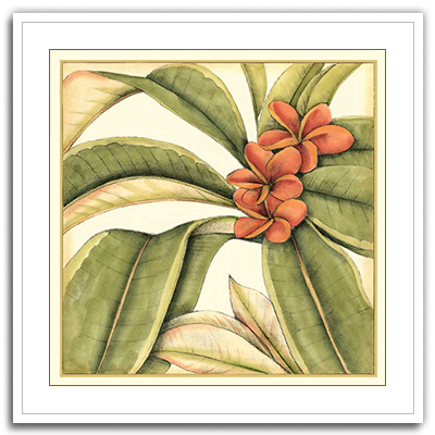 Shop Art \ Shop Artwork \ Shop Tropical Art \ Shop Wall Art \ Shop Tropical Art Prints \ Shop Framed Artwork \ Shop Painting \ Shop Tropical Paintings \ Shop Wall Decor \ Shop Decorative Art \ Nature Art Prints \ Multicolor Wall Art \ Colorful Artwork \ Floral Art