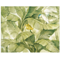 Tropical Canopy II Green