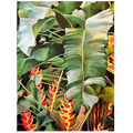 Tropical Leaves X