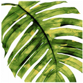 Tropical Palm II