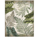 Tropic Palms 2