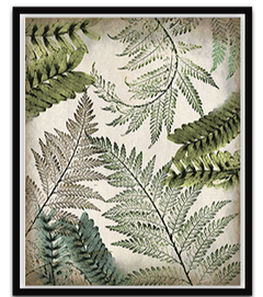 Shop Art \ Shop Artwork \ Shop Tropical Art \ Shop Wall Art \ Shop Tropical Art Prints \ Shop Framed Artwork \ Shop Painting \ Shop Tropical Paintings \ Shop Wall Decor \ Shop Decorative Art \ Nature Art Prints \ Multicolor Wall Art \ Colorful Artwork
