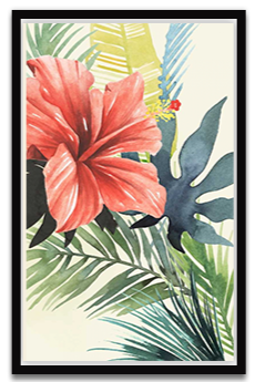 Shop Art \ Shop Artwork \ Shop Tropical Art \ Shop Wall Art \ Shop Tropical Art Prints \ Shop Framed Artwork \ Shop Painting \ Shop Tropical Paintings \ Shop Wall Decor \ Shop Decorative Art \ Nature Art Prints \ Multicolor Wall Art \ Colorful Artwork \ Floral Art