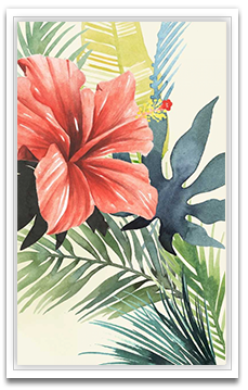 Shop Art \ Shop Artwork \ Shop Tropical Art \ Shop Wall Art \ Shop Tropical Art Prints \ Shop Framed Artwork \ Shop Painting \ Shop Tropical Paintings \ Shop Wall Decor \ Shop Decorative Art \ Nature Art Prints \ Multicolor Wall Art \ Colorful Artwork \ Floral Art