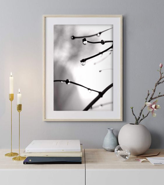 Shop Art \ Shop Artwork \ Shop Wall Art \ Shop Nature Art \ Shop Art Prints \ Shop Framed Artwork \ Shop Painting \ Shop Modern Nature Art \ Shop Black and White Art \ Shop Wall Decor \ Decorative Art \ Multicolour Wall Art